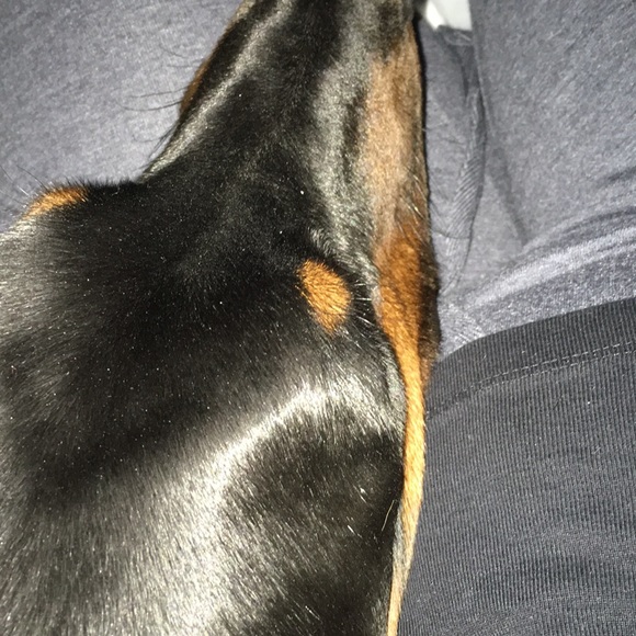 Meet your Posher, Sask - Picture 1 of 1